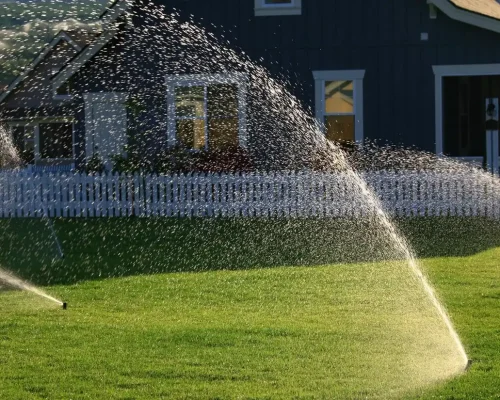 The-Best-Irrigation-Services-Options